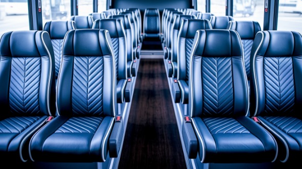 hammond 18 passenger minibus rental