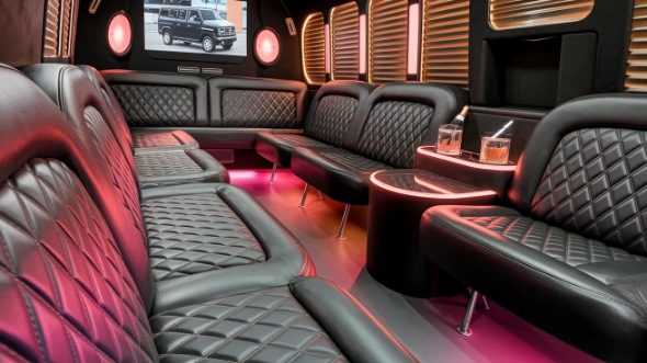 hammond sprinter limo rental inside